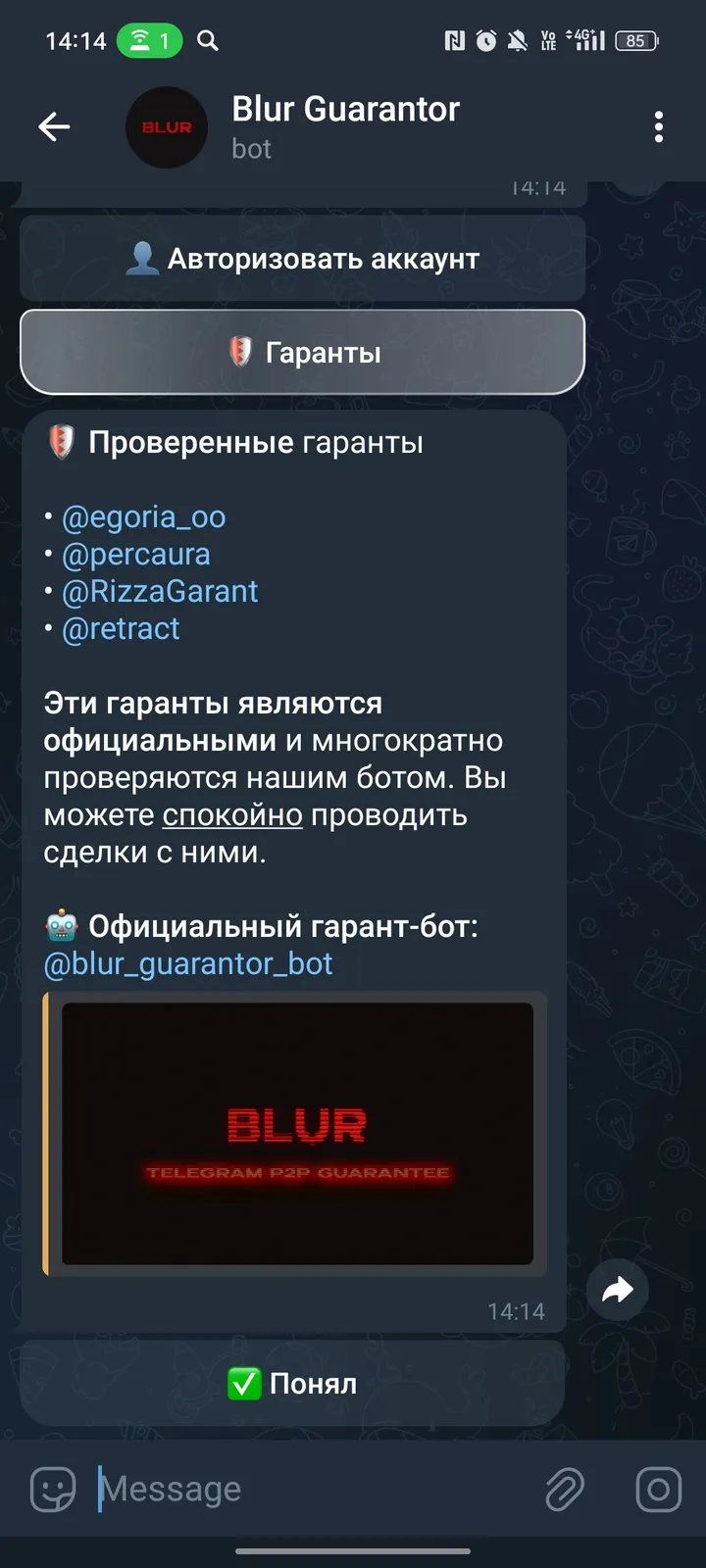 Blur Guarantor screenshot 4