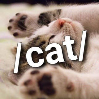 /cat/ ~ meow screenshot 1