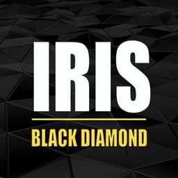 Iris | Black Diamond logo