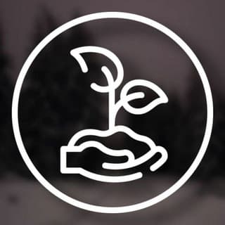 Life Games screenshot 1