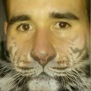 Marchio alias Tigre screenshot 1