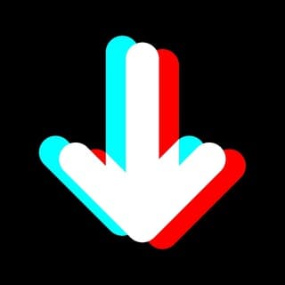 No Watermark TikTok Downloader screenshot 1