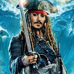 The Pirate logo