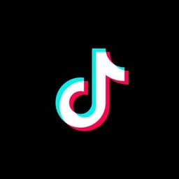 TikTok Downloader logo