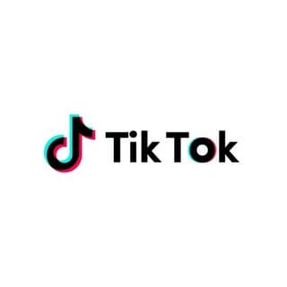 TikTok Downloader screenshot 1